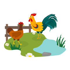 farm birds family cartoon flat illustration. rooster hen chicken.