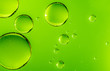 canvas print picture - Green oil drops in water. Bubbles of different sizes on green abstract background