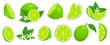 Cartoon lime. Limes slices, green citrus fruit with leaves and lime blossom isolated vector illustration set. Lime citrus fruit, green and juicy, juice vitamin organic