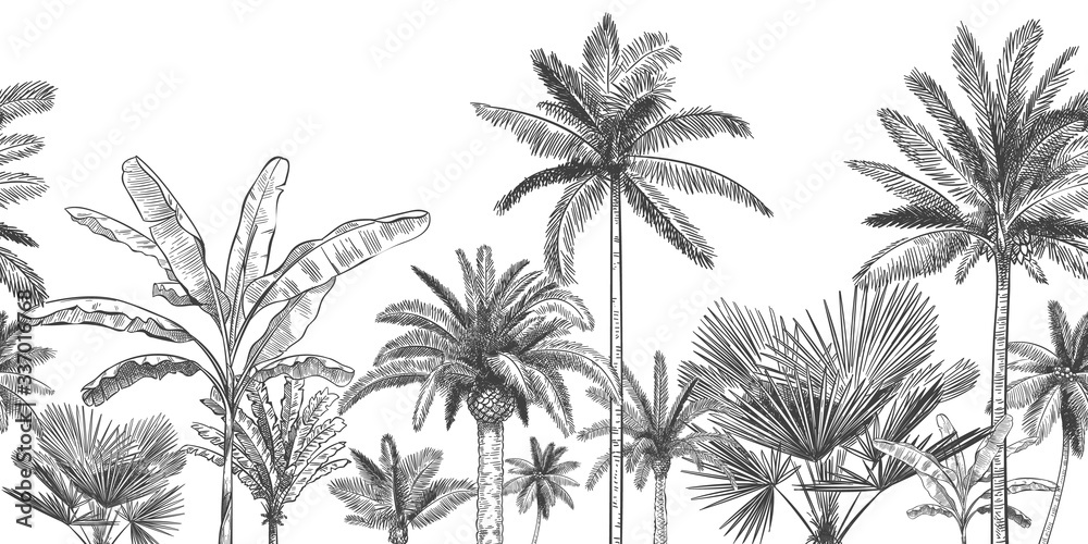 Seamless horizontal tropical background. Hand drawn palm trees, sketch exotic tropic jungle leaves and paradise palm tree vector wallpaper illustration. Exotic palm tree botanical, rainforest foliage - obrazy, fototapety, plakaty 