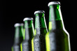 © Impact Photography - Bottles of beer in a row