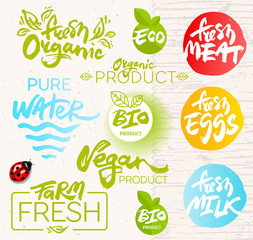 Vector Set of Hand Drawn Organic Icons, Elements and Badges