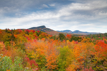 fall color