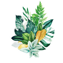 Herbal Watercolor Bouquet With Ferns And Monstera