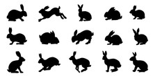 Rabbit And Hare Silhouettes