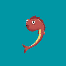 Fish - Comma