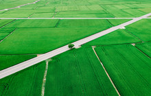 Aerial View Of Rice Field In Taiwan