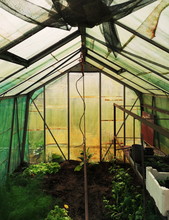 View Inside A Rustic Greenhouse