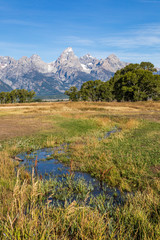 Wall Mural - Vertical Image - looking at a creek as it goes across the prairie toward the Teton mountains