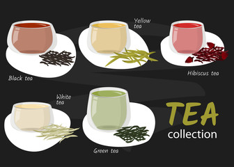 Vector illustration. Types of tea in glass cups on chalkboard. Hot drinks collection.