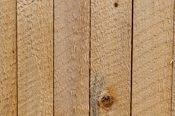 Texture of Wood Fence