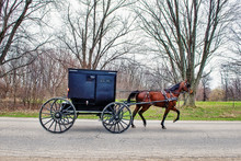 Amish Buggy On Rural Indiana Road