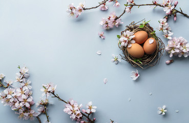 Wall Mural - Easter eggs in nest and pink flowering sakura branches on light blue background. Happy Easter holiday, top view, flat lay