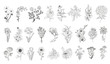 Vector set flowers illustration. 28 elements with botanical flowers outline with leaves in black isolated on white background. Ornate contour Anthurium flowers for summer design or coloring book.