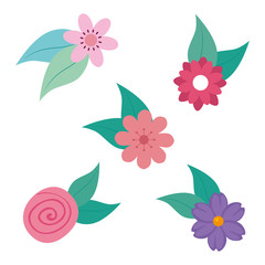 Poster - set of cute flowers with leafs naturals vector illustration design