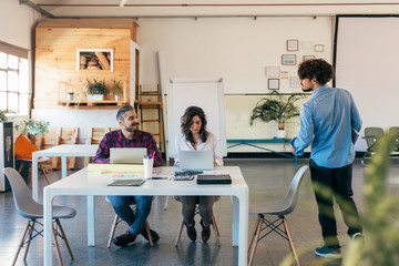 Wall Mural - Startup team sharing ideas for project in meeting room. Business colleagues in casual sitting together in contemporary office space. Brainstorming concept