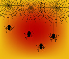 Spider handing on black net