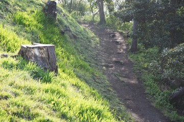 Sticker - The narrow mountain path in early spring.