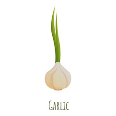 Poster - Garlic icon. Cartoon of garlic vector icon for web design isolated on white background