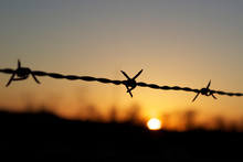 Close-up Of Silhouette Barbed Wire Against Sky At Sunset