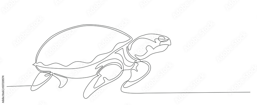 Hand drawing animal. Sea turtle continuous line vector design Stock ...