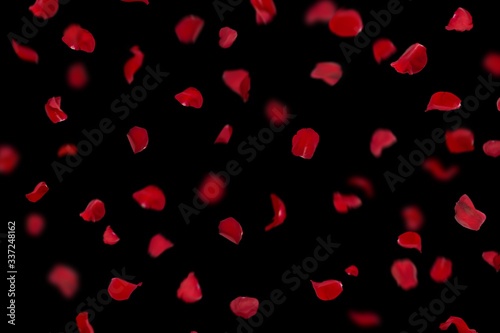 many rose overlay rose flowers and petal valentine background with falling red rose petals is on black