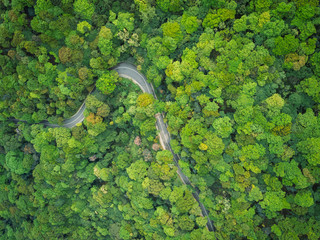 Aerial drone view of trail in spring tropical forest