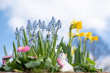 Spring floral with a chicken, beautiful fresh flowers, isolated on blue sky background