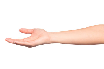 female hand isolated on white background showing hand gestures - Image