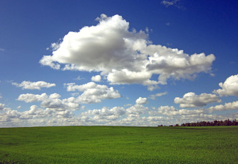 green field and blue sky with clouds