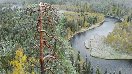 Wall Mural - Autumn view in Oulanka National Park landscape