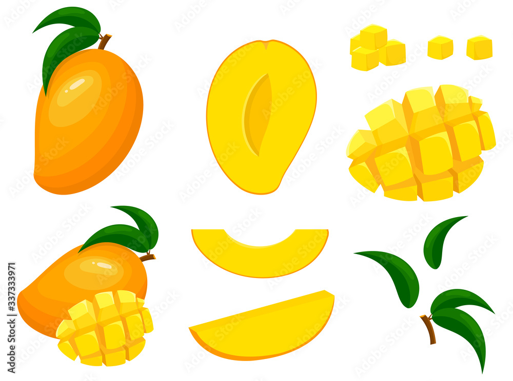 Set of fresh whole, half, cut slice mango fruits isolated on white background. Summer fruits for healthy lifestyle. Organic fruit. Cartoon style. Vector illustration for any design. - obrazy, fototapety, plakaty 