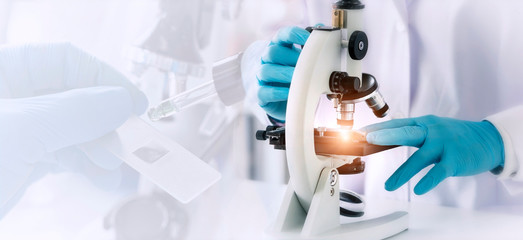 Wall Mural - laboratory concept; the scientist is using microscope in analytical laboratory.
