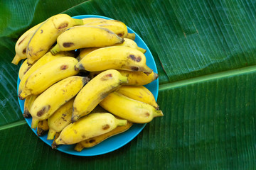 plate with ripe yellow bananas on a large yellow banana leaf