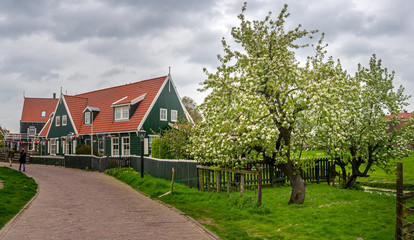 Wall Mural - Marken