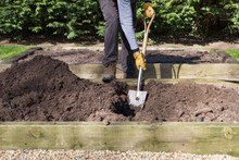 Man Digging A Hole With A Shovel In A Garden, UK