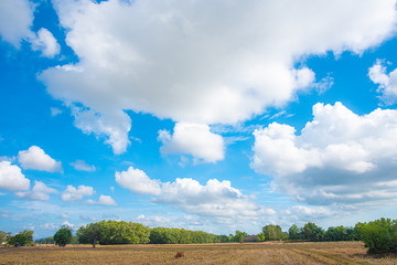 landscape with blue sky and clouds