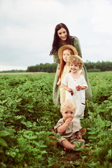 Wall Mural - Beautiful young caucasian mother with children in a linen dress with a basket of strawberries gathers a new crop and has fun with the children