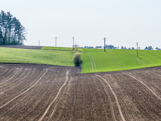 Canvas Print - Strommasten im Frühjahr