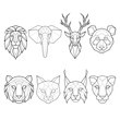 Set of eight polygonal abstract animals, lion, elephant, deer, panda, cat, tiger,  panther and lynx. Vector illustration