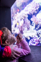 A Young Girl Looking Through The Window Of An Colorful Aquarium Exhibit.