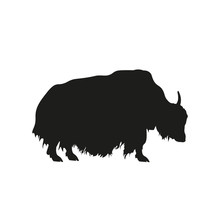 Black Silhouette Of Domestic Yak On White Background