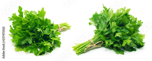 Fotografía Fresh parsley on white background