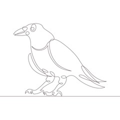 continuous single drawn line art doodle  raven