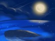 starry night sky and the whale