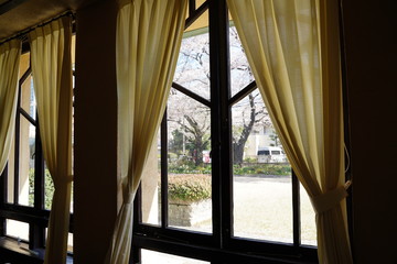  モダンな木の窓枠とクリーム色のカーテン