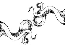Hand Drawn Vector Illustration Of A Tentacles 