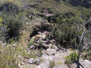 Lanscape in the Nature of Gran Sabana