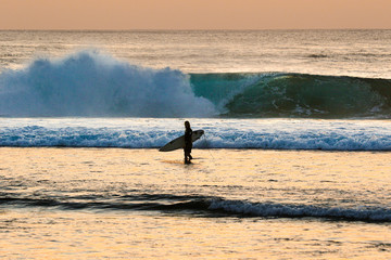 Wall Mural - man with surfboard walking in sea during sunset