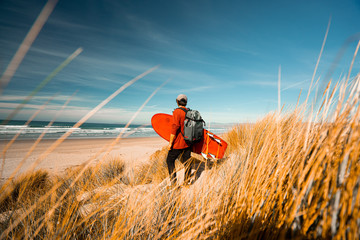 Wall Mural - rear view of man with surfboard standing on beach
